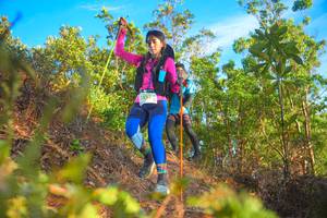 BIB: 123
                            <button type="button" onclick="openModal(21841612)" class="btn btn-primary btn-sm float-right btn-popup" data-toggle="modal" data-target=".modal-high-quality">
                        <i class="fas fa-shopping-cart"></i> Add to Cart
                    </button>
                                            <button type="button" onclick="isThisMe(21841612, true)" class="btn btn-success btn-sm float-right btn-popup btn-isme hidden" data-toggle="tooltip" data-placement="bottom" title="นี่คือรูปของคุณใช่ไหม คลิกที่นี่เพื่อเอาเข้าอัลบั้ม">
                        <i class="fas fa-plus"></i> Add to album
                    </button>
                    <button type="button" onclick="isThisMe(21841612, false)" class="btn btn-warning btn-sm float-right btn-popup btn-isnotme hidden">
                        <i class="fas fa-ban"></i> Remove from album
                    </button>